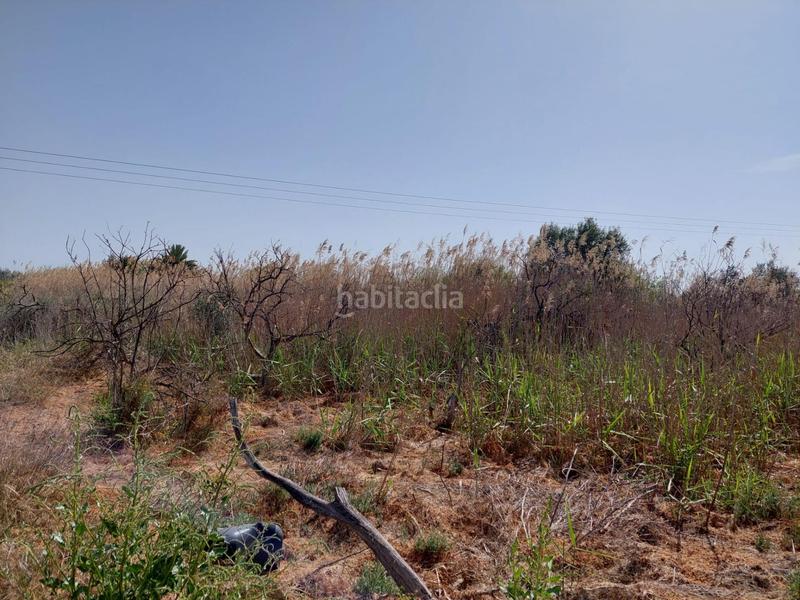 Foto 384145ec-123a-4f73-a19a-df5ad0dc54e4. Landgut in Alquerías Murcia