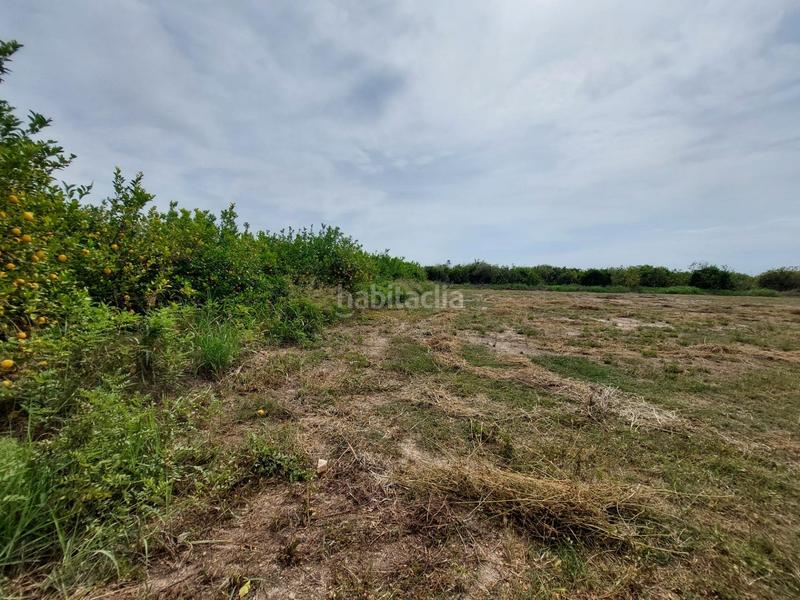 Foto c344f5b8-e198-40e3-bedf-fbbc2a8bae05. Finca rústica terreno rustico en torreagera en Los Ramos Murcia