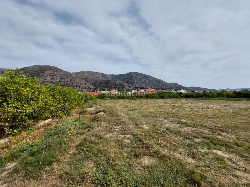 Foto c6dc5e52-f251-4966-9d28-c0aa627e027a. Finca rústica terreno rustico en torreagera en Los Ramos Murcia