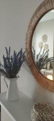 Rent House in Guadalupe. Se alquila casa a estrenar en guadalupe con wifi incluido!