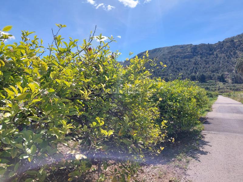 Foto 0ef5ad54-c565-4147-8dc8-ab48353954dc. Fondo rustico in Los Ramos Murcia