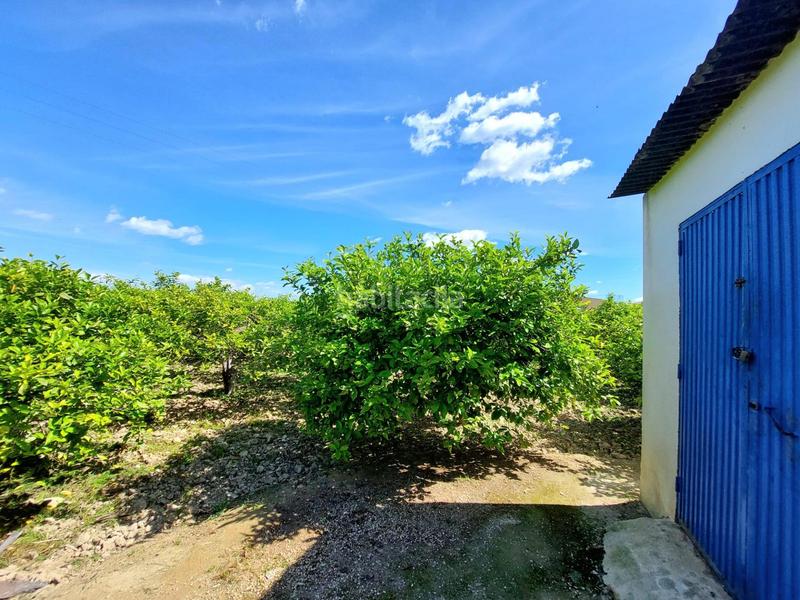 Foto 158d94f8-8b59-4bbc-b863-4879d0d98947. Fondo rustico in Los Ramos Murcia