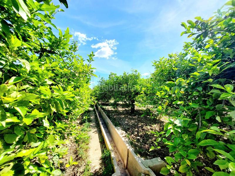 Foto 186cefce-b699-4b53-95bc-c2b8e6afc31c. Fondo rustico in Los Ramos Murcia