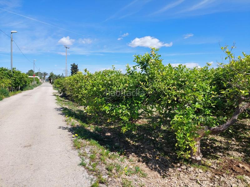 Foto 2eb1b8ae-f872-4b8b-89af-debd9b497fab. Fondo rustico in Los Ramos Murcia