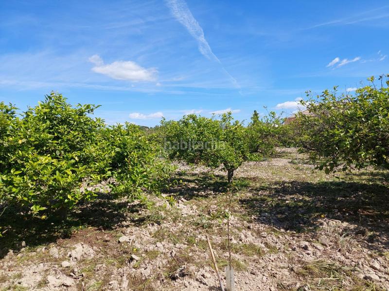 Foto 365ba332-448f-4586-bd3c-b1f58ce9e742. Fondo rustico in Los Ramos Murcia