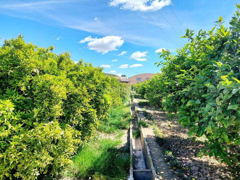 Foto 59eca477-1c4a-402a-9cd6-d85db92547f0. Fondo rustico in Los Ramos Murcia