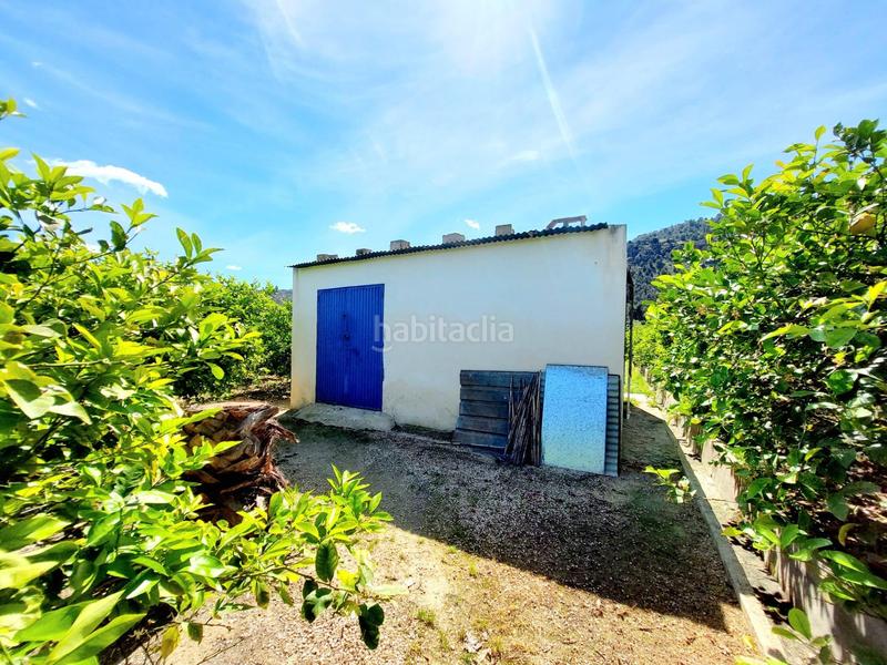 Foto 8e8b7ec7-c7f3-4651-a73e-2b7aadd0f6f9. Fondo rustico in Los Ramos Murcia