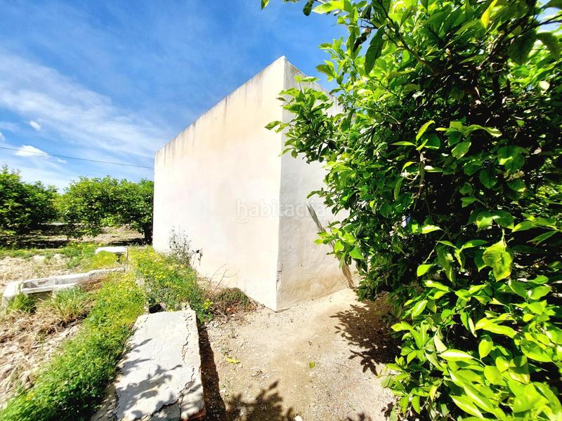 Foto a5a98609-7ca8-4071-a2b4-3337cacff7e2. Fondo rustico in Los Ramos Murcia