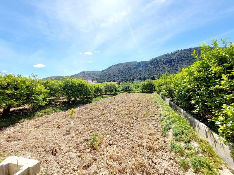 Foto d766938f-7c04-41bc-83e1-0268f2876ddf. Fondo rustico in Los Ramos Murcia