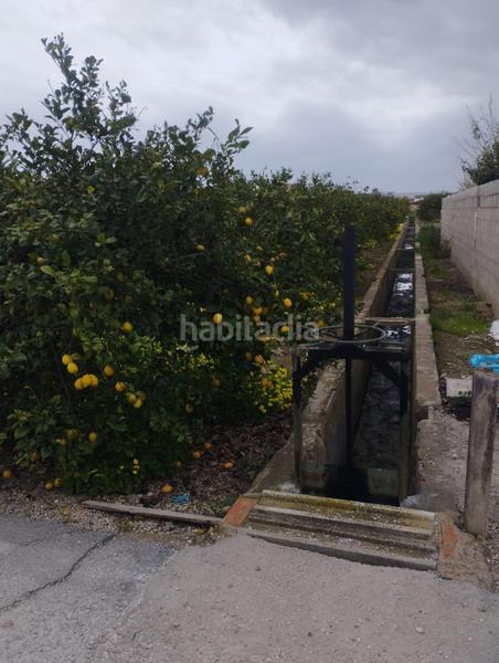 Foto abc9e773-75bb-42d0-bd9a-63c68929a107. Rural plot in Santa Catalina - San Bartolomé Murcia