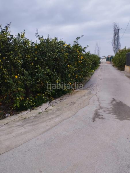 Foto ed1aa819-3c93-40e3-be15-373cad9bfd33. Rural plot in Santa Catalina - San Bartolomé Murcia