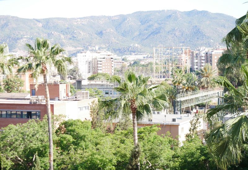 Foto 1ba67a88-4c7d-4fa7-a33b-ec27525ad67c. Pis a El Carmen Murcia