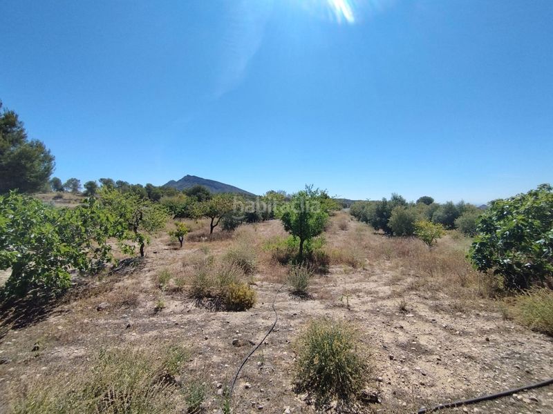 Foto a9ac81dc-2cc1-45ac-ad7e-e1c8fe2fae69. Casa a Baños y Mendigo Murcia