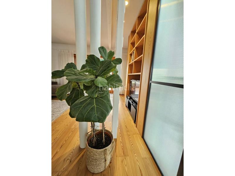 Foto 3da48adc-1d8c-48f4-a1c5-a63c73b04fd1. Location attique dans Mercado Alicante