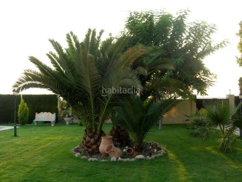 Foto 62ad627f-f201-47b7-9b0f-4ee3f05c9eae. Chalet  en venta en Petrer