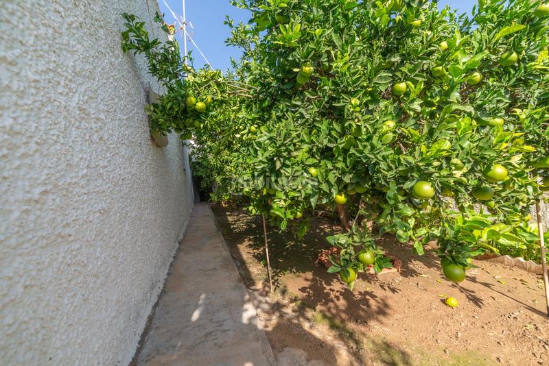 Foto 02aca8d4-3b85-4f43-8a7f-e2241d666002. Casa con parcheggio in Santiago de La Ribera San Javier