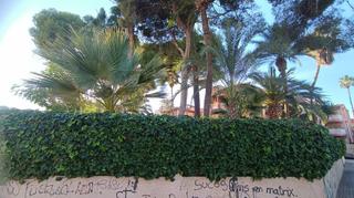 Apartament a Santiago de La Ribera