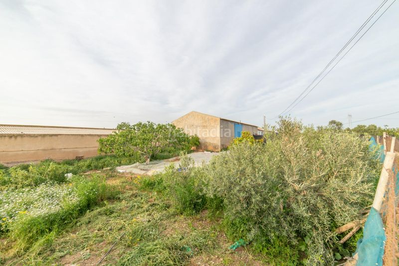 Foto 840d24de-17b2-4447-8f1d-91d379b980dd. Casa amb aparcament a Balsicas Torre - Pacheco