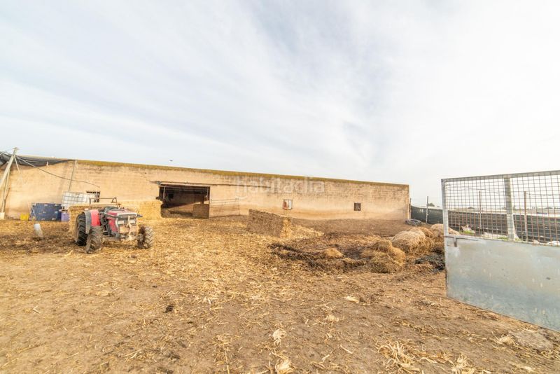 Foto ad655650-825a-45a8-a4bd-13a44d365db8. Casa amb aparcament a Balsicas Torre - Pacheco