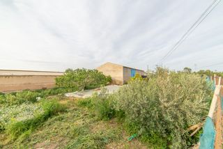 House in Balsicas
