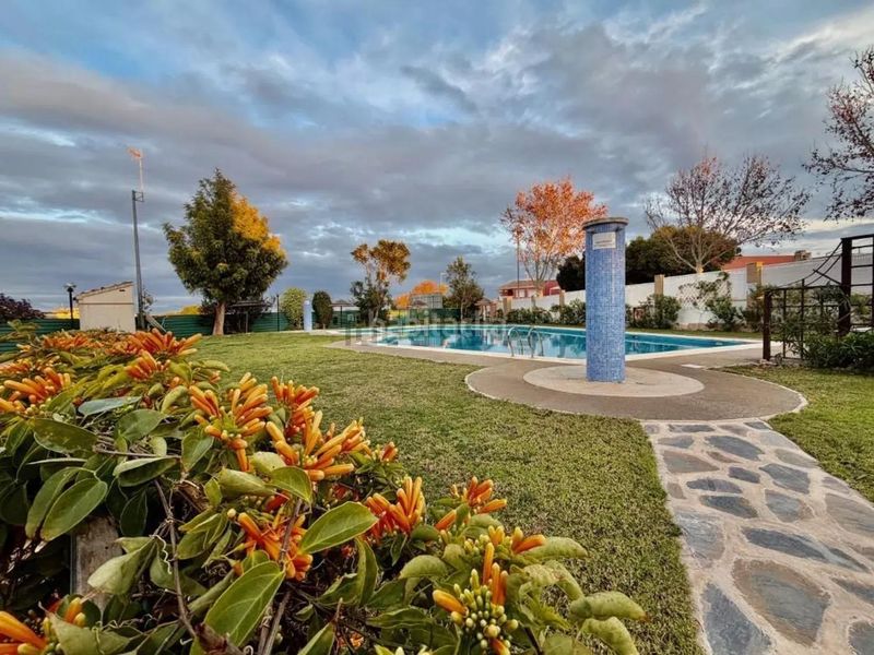 Foto 53404800-d9d4-493c-a9bd-bbd7e1c46009. Erdgeschoss mit parking pool in San Cayetano Torre - Pacheco