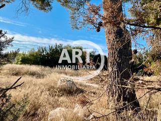 Residential Plot in Montepilar