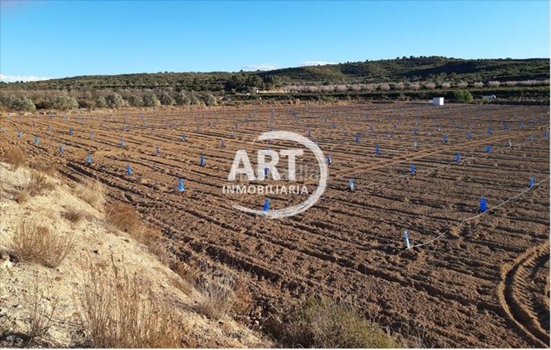 Foto df67d5c1-d296-4b32-abff-18875b0c57a2. Finca rústica a Chulilla
