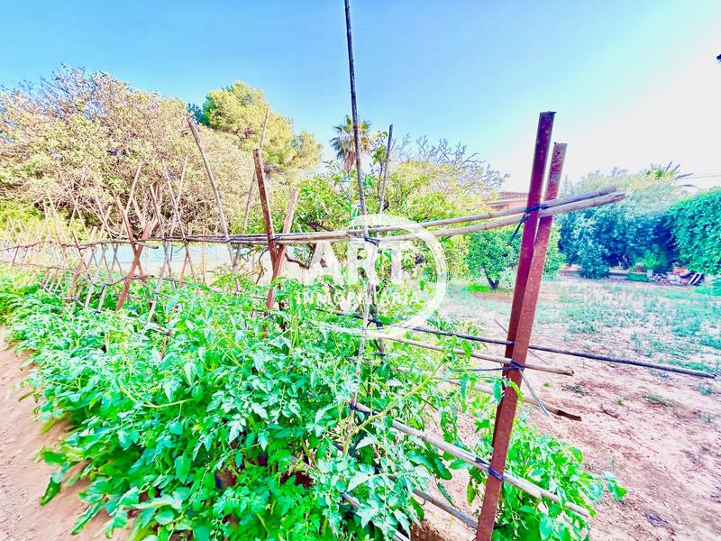 Foto 47bd1dad-8cbc-434d-8186-2842b479a75d. Casa amb aparcament piscina a El Paraíso-Los Almendros Eliana (l´)