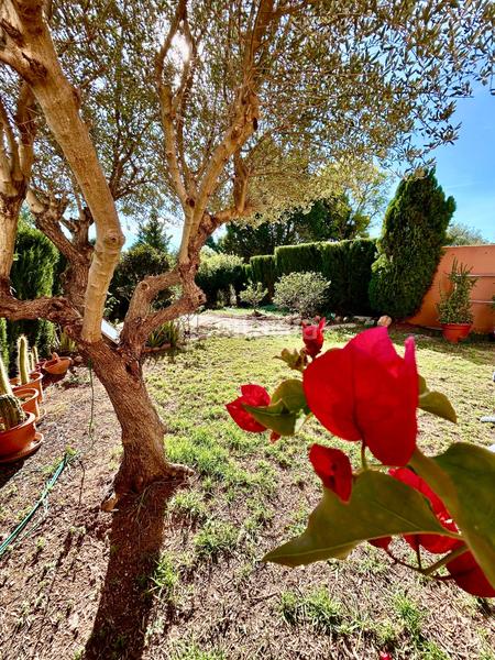 Foto c06ccbbd-23de-411f-bec0-3b87d09ca0f2. Casa adosada pareado en torre en conill, en Torre en Conill-Cumbres de San Antonio Bétera