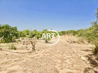 Terreny residencial a 93 polígono 38