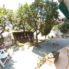Lloguer Planta baixa a Alella. Alquiler temporal