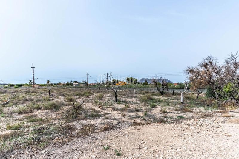 Foto 3d854268-408a-41f1-931d-28d347751b36. Terreno residenziale in Moralet Alicante