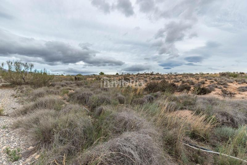 Foto 08ae5528-3e5b-4513-a6d1-efc1ab2a67a0. Terrain résidentiel dans Cañada del Fenollar Alicante