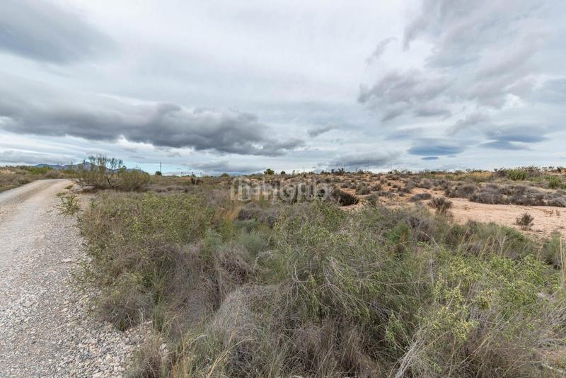 Foto eceb2e78-1623-42c2-83d9-186939b67c2d. Terrain résidentiel dans Cañada del Fenollar Alicante