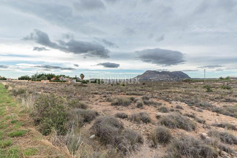 Foto f6f49cc0-d150-4408-90b6-7a1101158cd3. Terrain résidentiel dans Cañada del Fenollar Alicante