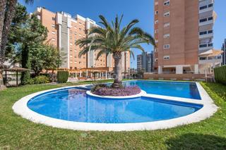 Location Appartement  Calle maria moliner. Piso en alquiler de larga temporada en playa de san juan