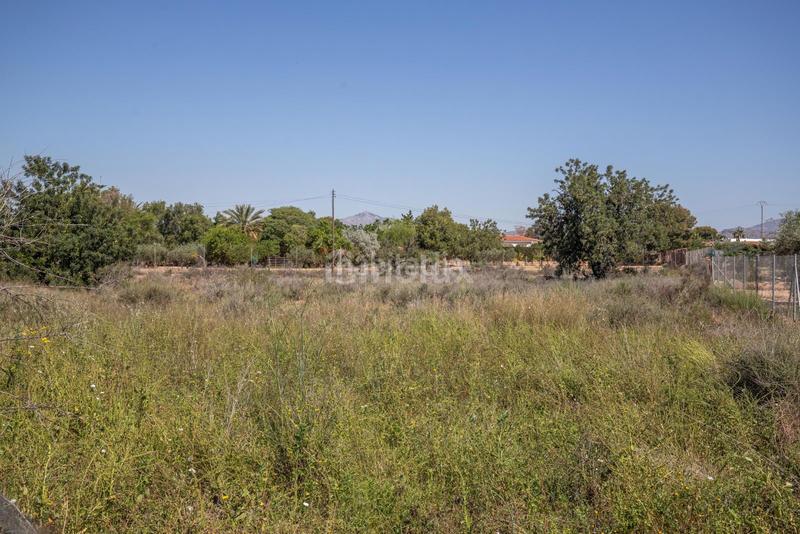 Foto 1637b07a-075b-41cc-9cf4-09589bf53d93. Fondo rustico in Los Girasoles Sant Vicent del Raspeig