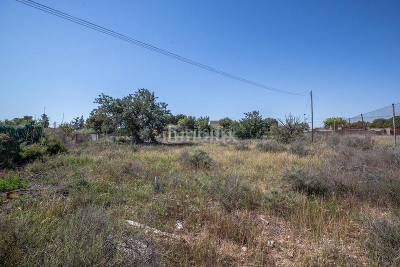 Foto 196a5660-670a-4e9d-8761-7fdf6a4efcd6. Fondo rustico in Los Girasoles Sant Vicent del Raspeig