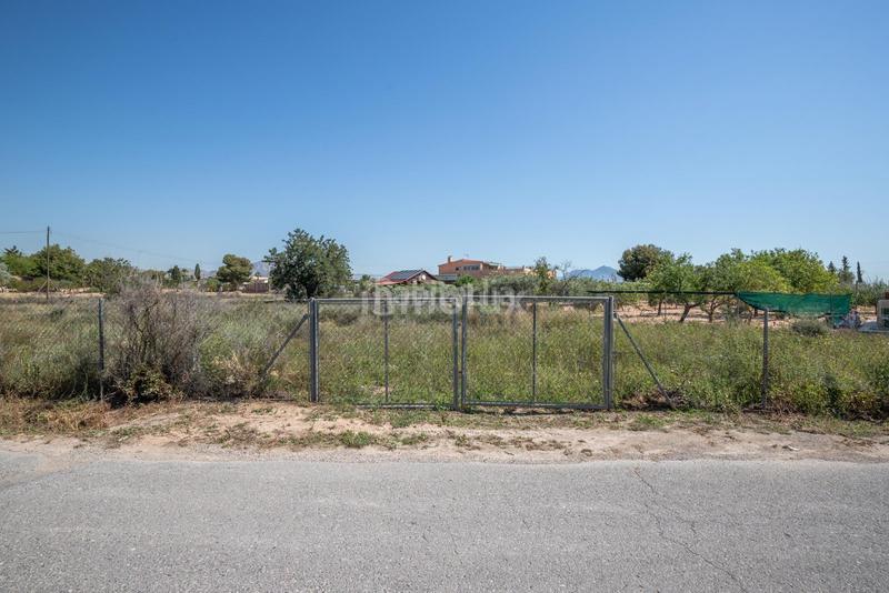 Foto 4f74ff0c-29f5-4c0a-a79b-442f8ff6fd28. Fondo rustico in Los Girasoles Sant Vicent del Raspeig