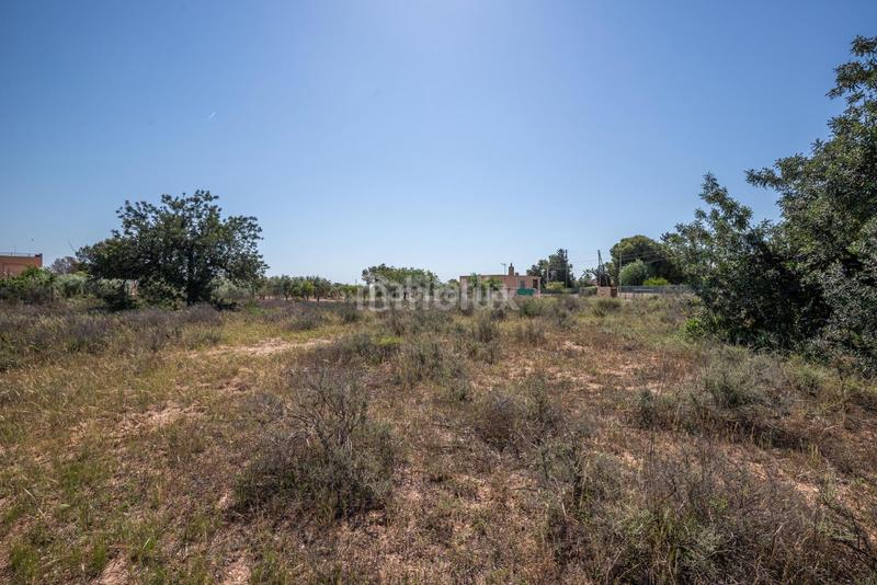 Foto 8cce47fd-4d3b-4b18-a058-69a20ac41103. Fondo rustico in Los Girasoles Sant Vicent del Raspeig