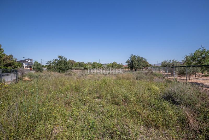 Foto a42ac47e-78e7-427b-87dd-d0b397baea26. Fondo rustico in Los Girasoles Sant Vicent del Raspeig