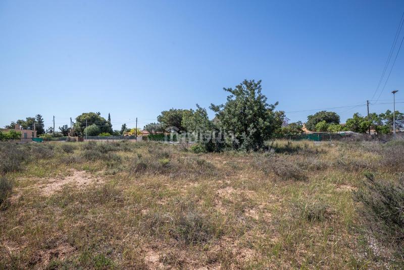 Foto bbbd8587-77ea-48bb-a221-7f689077f36d. Fondo rustico in Los Girasoles Sant Vicent del Raspeig