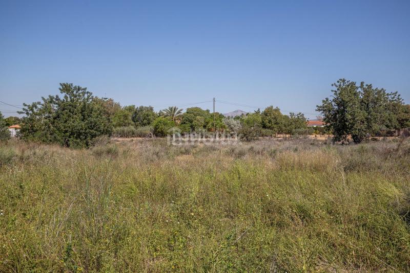 Foto d4265109-a1db-4444-a736-0ce509361108. Fondo rustico in Los Girasoles Sant Vicent del Raspeig