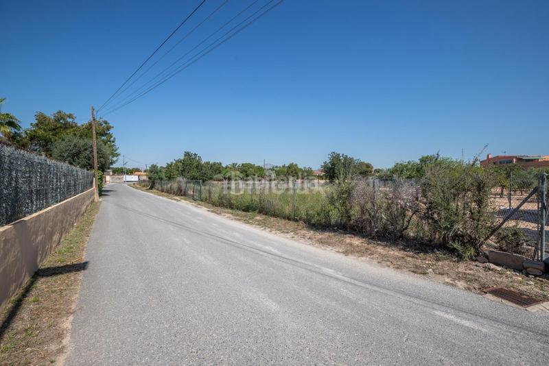 Foto e509c1b8-fe98-46df-87c6-c5bc1ca69fce. Fondo rustico in Los Girasoles Sant Vicent del Raspeig