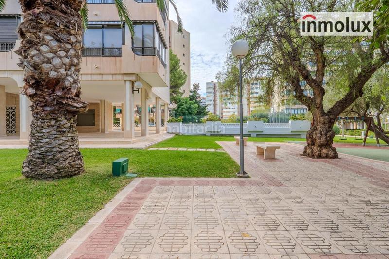 Foto 52ee9032-cf7b-483a-91b9-69c02e13f44a. Pis a avenida holanda 14 a Playa de San Juan Alicante