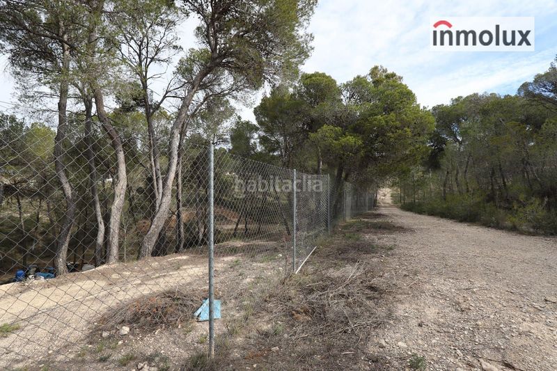 Foto 21dcc4d0-f8e7-45ca-b0bf-4361c3ed6fcd. Finca rústica parcelas en finca terol en Tibi