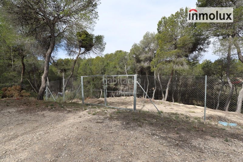 Foto 644b11aa-9a70-461f-b504-190809faee20. Finca rústica parcelas en finca terol en Tibi