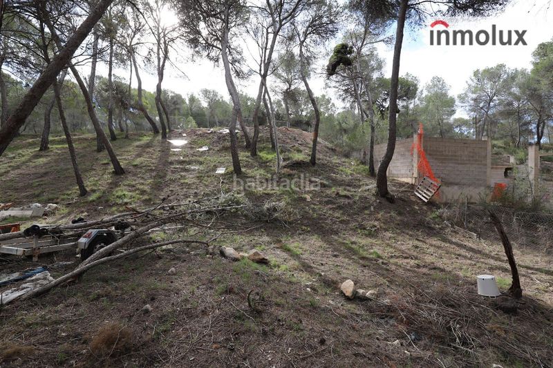 Foto 854ce346-bb97-4401-937e-ced557390f5c. Finca rústica parcelas en finca terol en Tibi