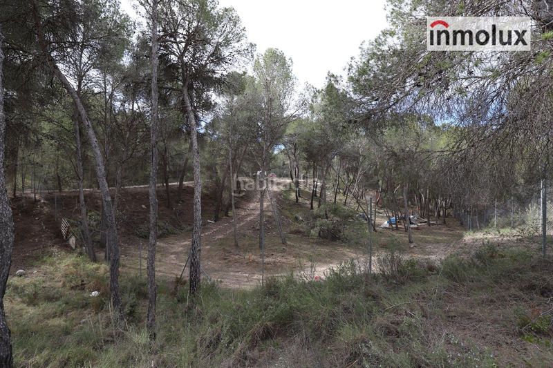 Foto fb89a74a-37d9-48f7-b890-cae0323488a9. Finca rústica parcelas en finca terol en Tibi