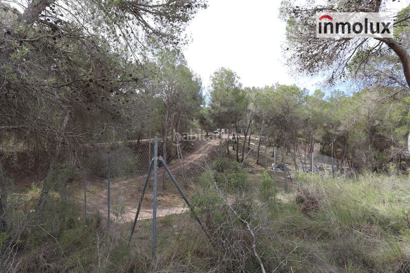 Foto fcffaba7-da1a-4fde-9c82-029007dc63fe. Finca rústica parcelas en finca terol en Tibi